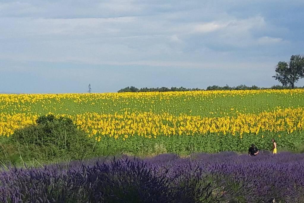 Lou Paradiu Du Verdon Allemagne en Provence Bagian luar foto