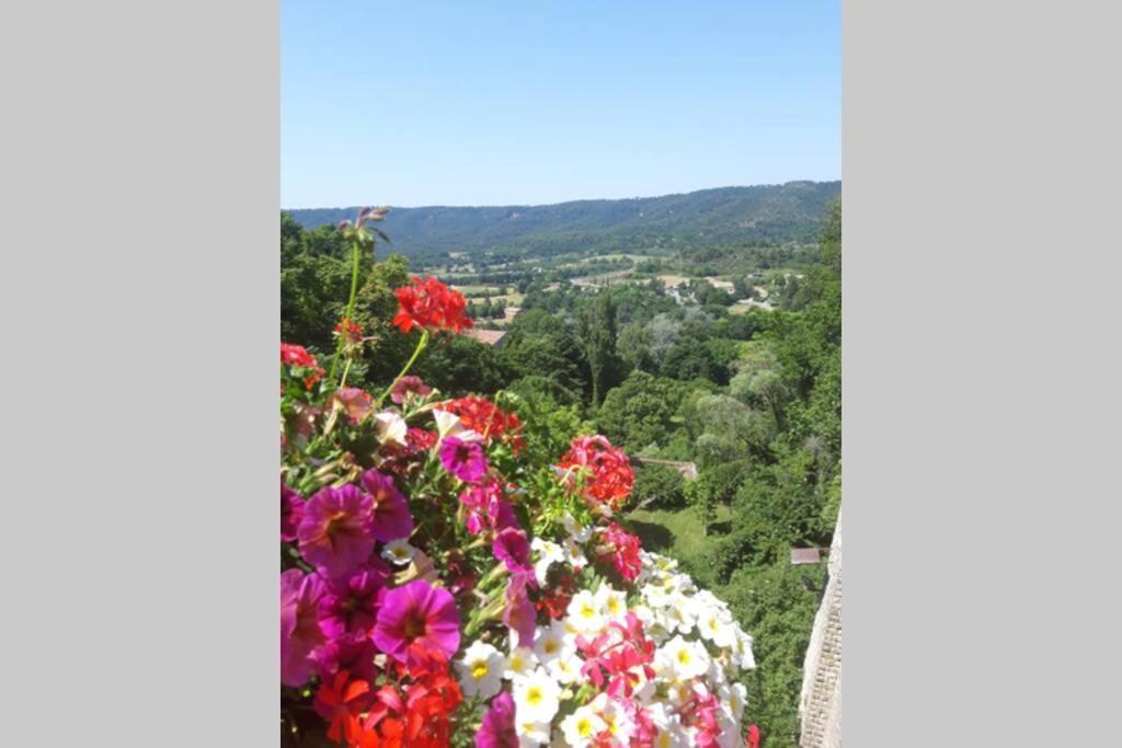 Lou Paradiu Du Verdon Allemagne en Provence Bagian luar foto